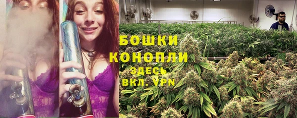 ПСИЛОЦИБИНОВЫЕ ГРИБЫ Богородск
