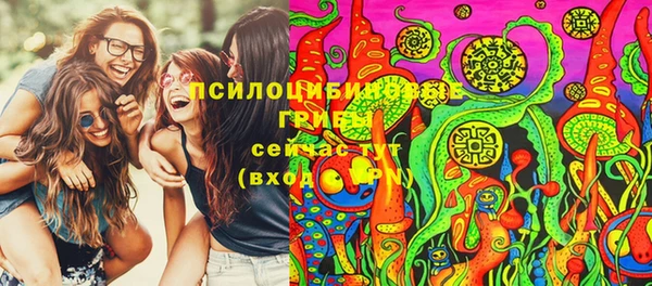 ПСИЛОЦИБИНОВЫЕ ГРИБЫ Богородск